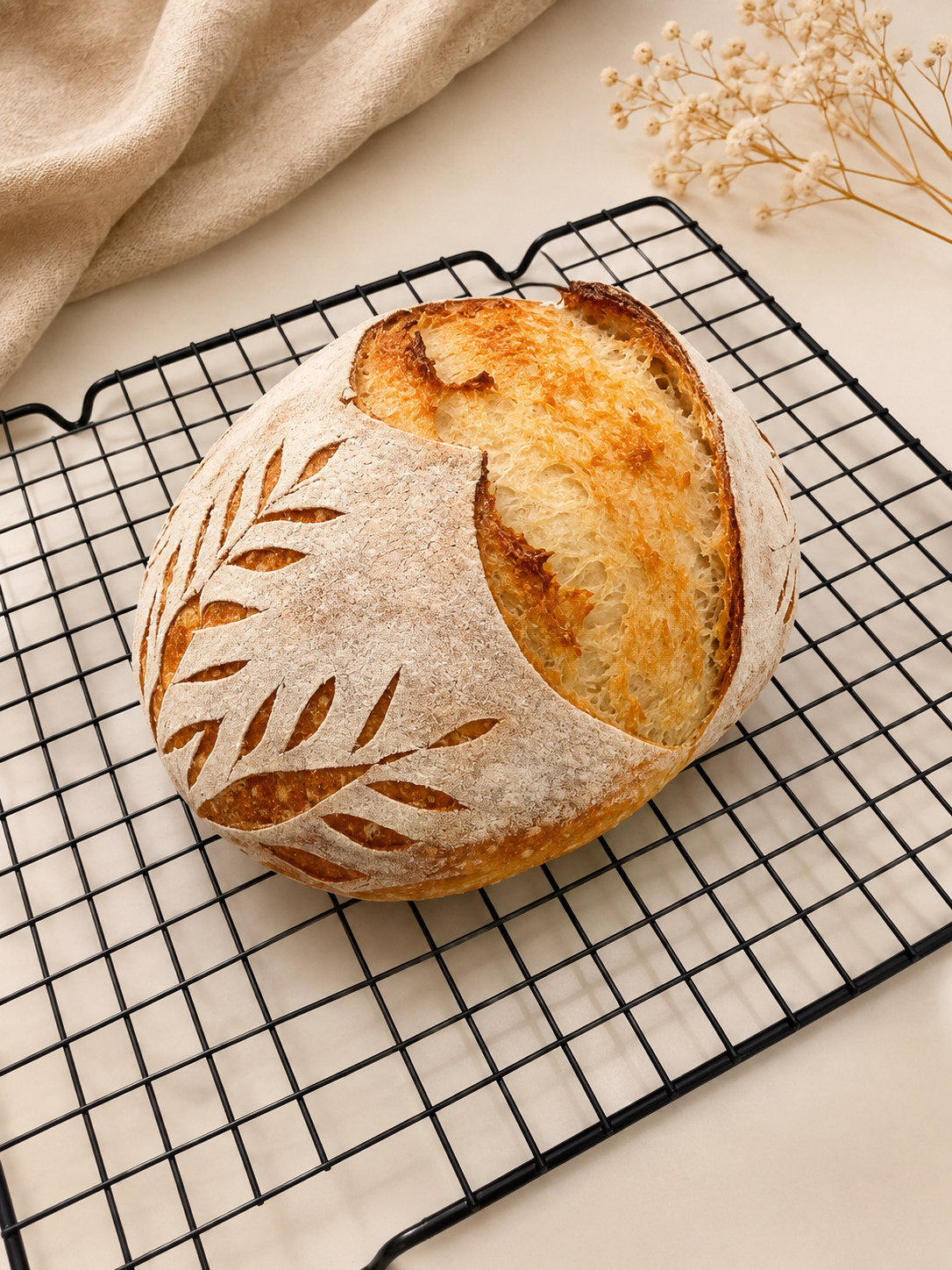 Shika & Crumb sourdough loaf cooling on a rack